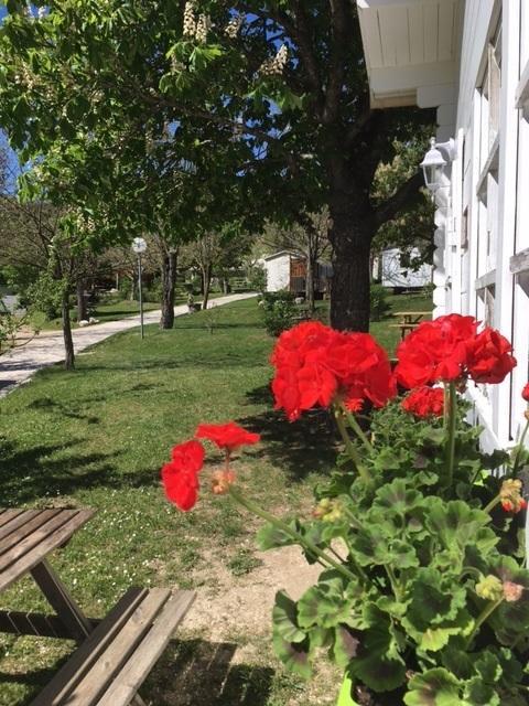 Camping Calme Et Nature Castellane Exterior photo
